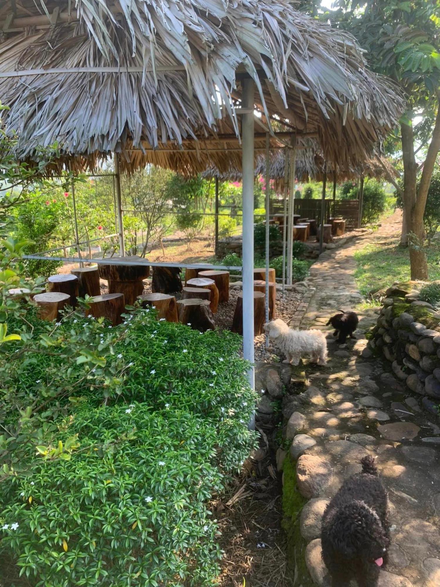Homestay Nha Cua Mi - Mi'S House Yen Bai Екстериор снимка