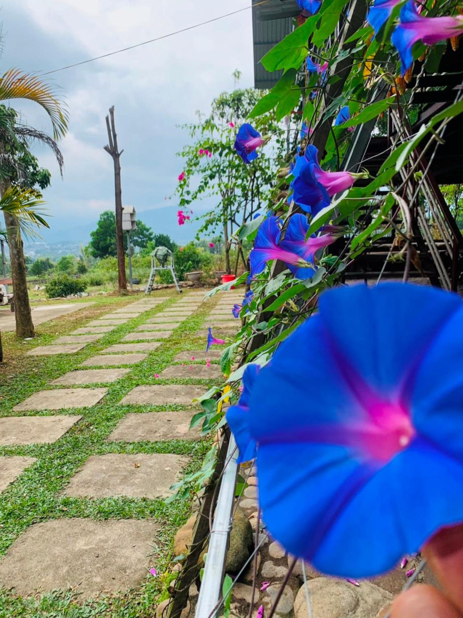 Homestay Nha Cua Mi - Mi'S House Yen Bai Екстериор снимка