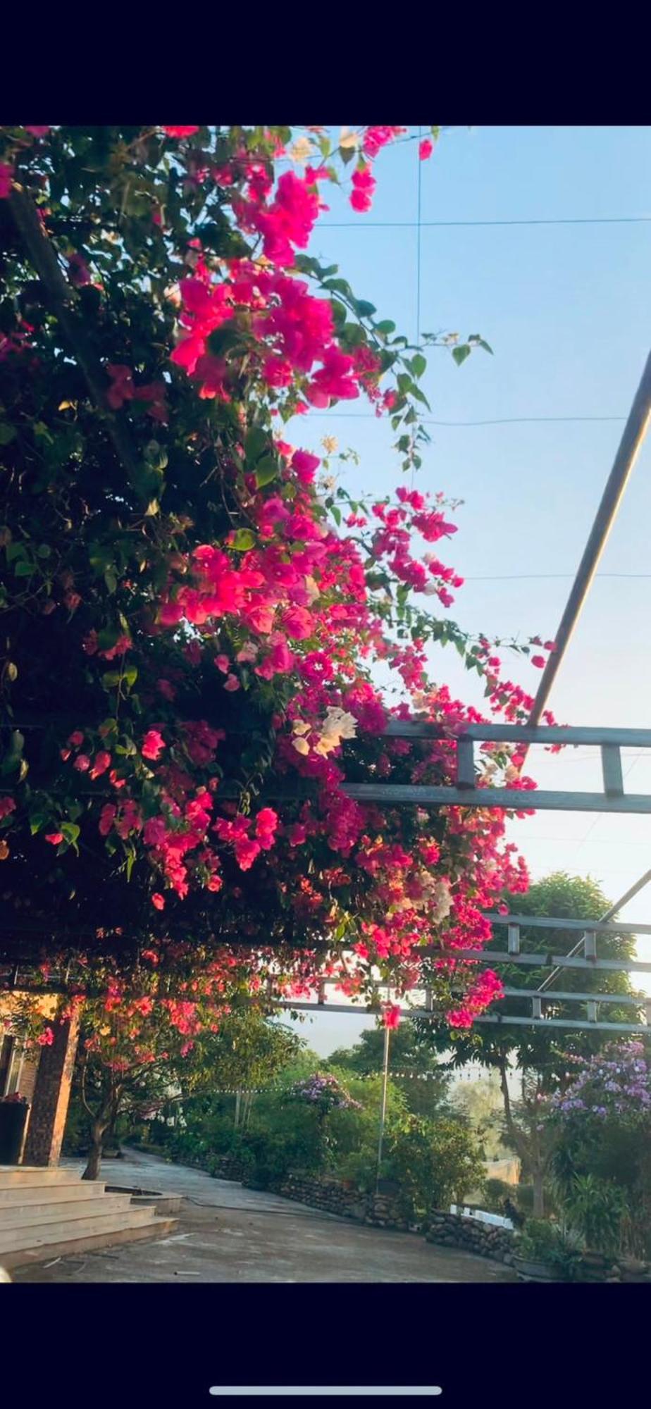 Homestay Nha Cua Mi - Mi'S House Yen Bai Екстериор снимка