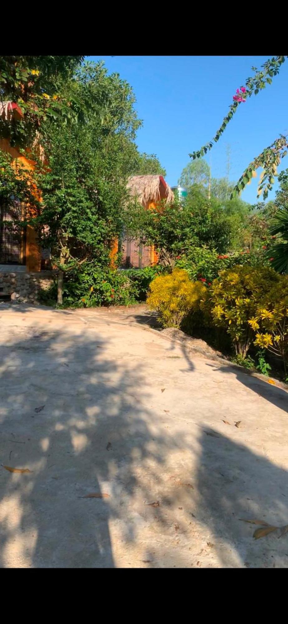 Homestay Nha Cua Mi - Mi'S House Yen Bai Екстериор снимка